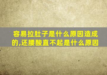 容易拉肚子是什么原因造成的,还腰酸直不起是什么原因