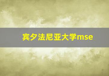 宾夕法尼亚大学mse