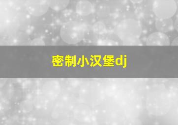 密制小汉堡dj