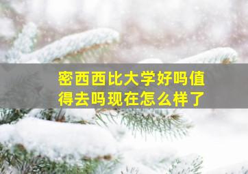 密西西比大学好吗值得去吗现在怎么样了