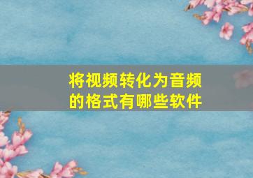 将视频转化为音频的格式有哪些软件