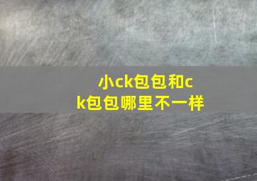 小ck包包和ck包包哪里不一样