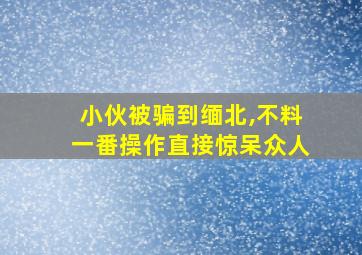 小伙被骗到缅北,不料一番操作直接惊呆众人