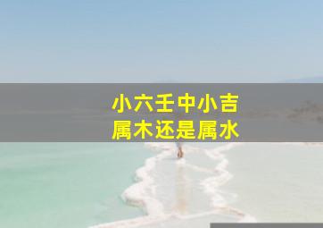 小六壬中小吉属木还是属水