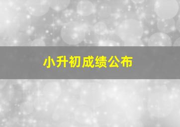 小升初成绩公布