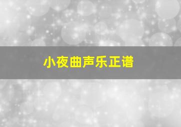 小夜曲声乐正谱