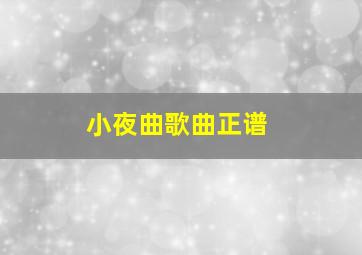 小夜曲歌曲正谱