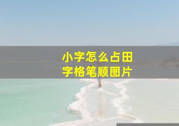 小字怎么占田字格笔顺图片