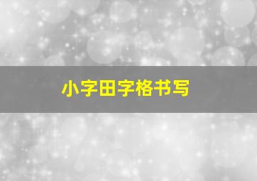 小字田字格书写