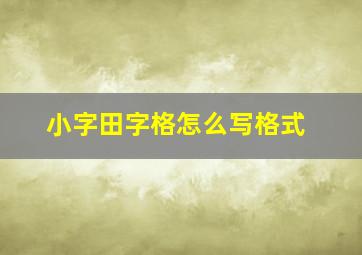 小字田字格怎么写格式