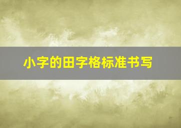 小字的田字格标准书写