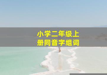 小学二年级上册同音字组词