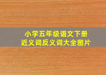 小学五年级语文下册近义词反义词大全图片