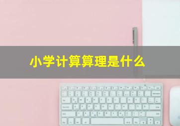 小学计算算理是什么