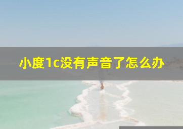 小度1c没有声音了怎么办