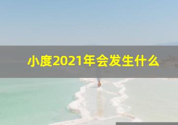 小度2021年会发生什么