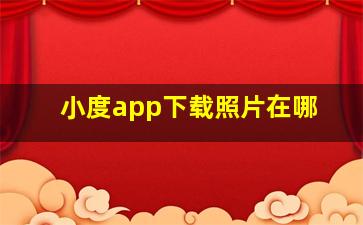 小度app下载照片在哪