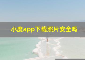 小度app下载照片安全吗