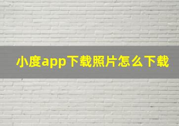 小度app下载照片怎么下载