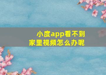 小度app看不到家里视频怎么办呢