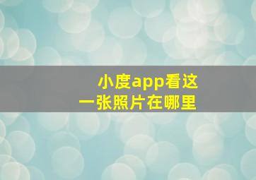 小度app看这一张照片在哪里