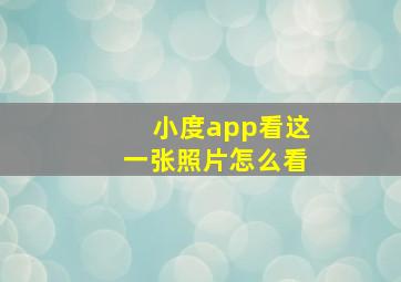 小度app看这一张照片怎么看