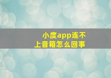 小度app连不上音箱怎么回事