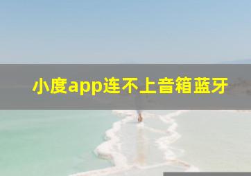 小度app连不上音箱蓝牙