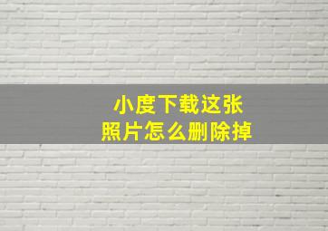 小度下载这张照片怎么删除掉