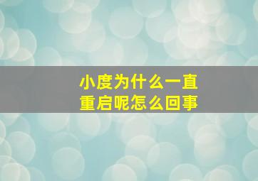 小度为什么一直重启呢怎么回事