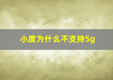 小度为什么不支持5g