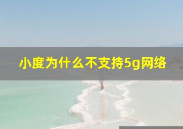 小度为什么不支持5g网络