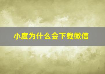 小度为什么会下载微信