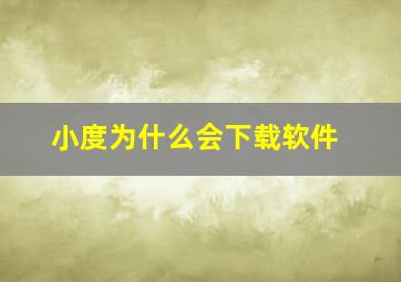 小度为什么会下载软件