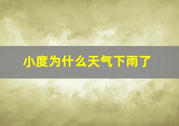 小度为什么天气下雨了