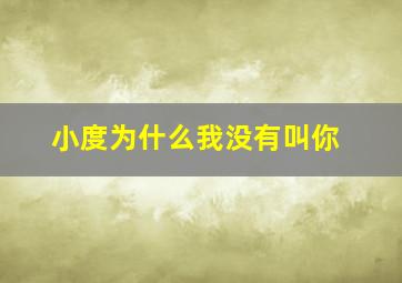 小度为什么我没有叫你