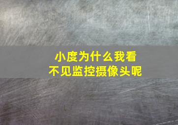 小度为什么我看不见监控摄像头呢