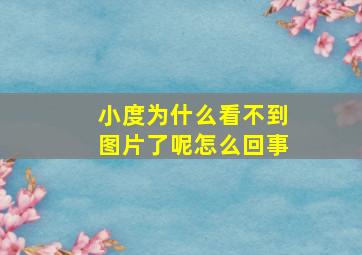 小度为什么看不到图片了呢怎么回事