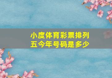 小度体育彩票排列五今年号码是多少