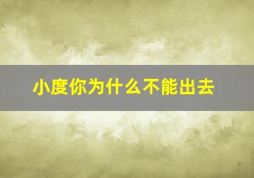 小度你为什么不能出去