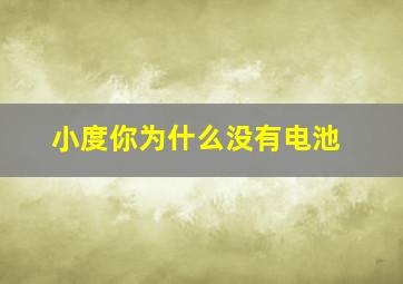 小度你为什么没有电池