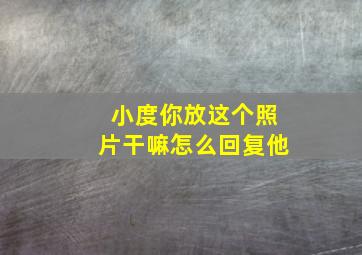 小度你放这个照片干嘛怎么回复他