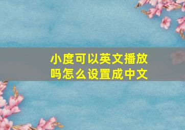 小度可以英文播放吗怎么设置成中文