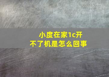 小度在家1c开不了机是怎么回事