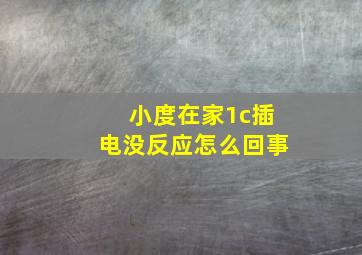 小度在家1c插电没反应怎么回事