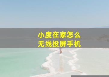 小度在家怎么无线投屏手机