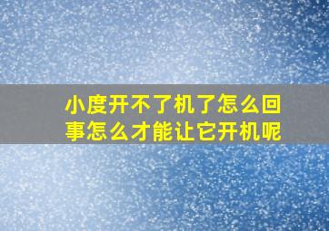 小度开不了机了怎么回事怎么才能让它开机呢