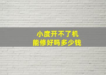 小度开不了机能修好吗多少钱