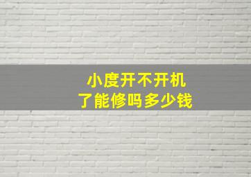 小度开不开机了能修吗多少钱