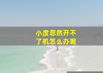 小度忽然开不了机怎么办呢